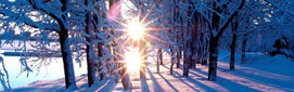immagine-inverno.jpg