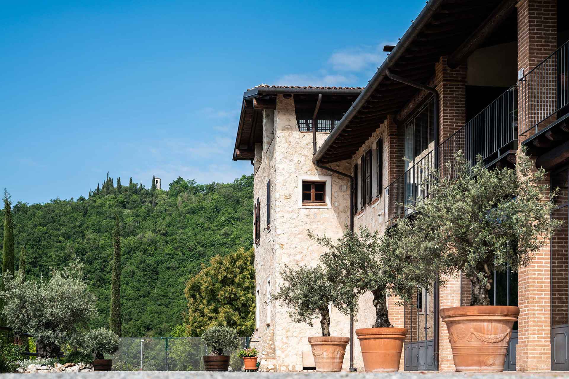 Degustazione in Franciacorta tra i vigneti Majolini